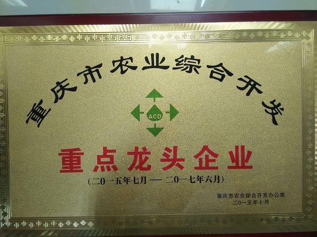 重慶市農(nóng)業(yè)綜合開發(fā)重點(diǎn)龍頭企業(yè).jpg